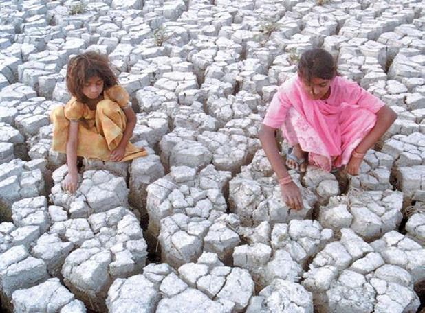 印度遭遇多年不遇旱灾 农民沦为"水难民"住牛棚