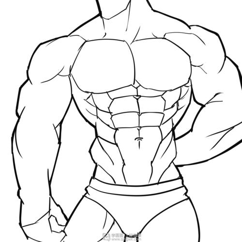 作业:如何学画手绘动漫人物之男性肌肉画法与训练技巧 - rh-16-133