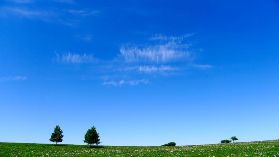来到草原,这样的天空让我窒息 标签 草原 蓝天 微博评论 网站评论