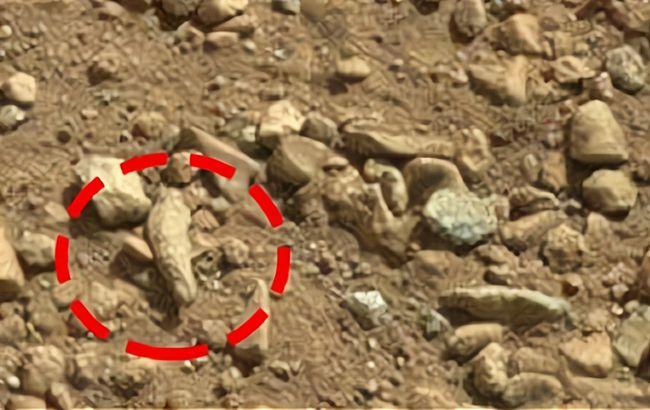 nasa传来火星照片,火星上疑似有人饲养家禽,真相无从告知
