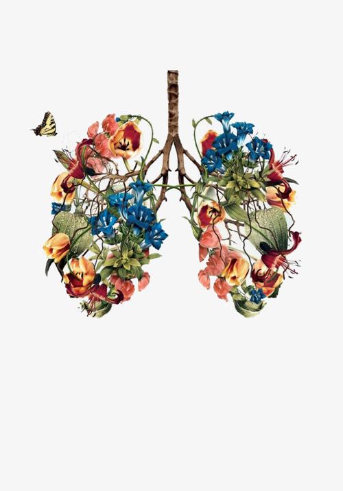 手绘植物肺部