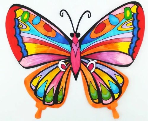 一年级美术网课第四课——飞舞的蝴蝶