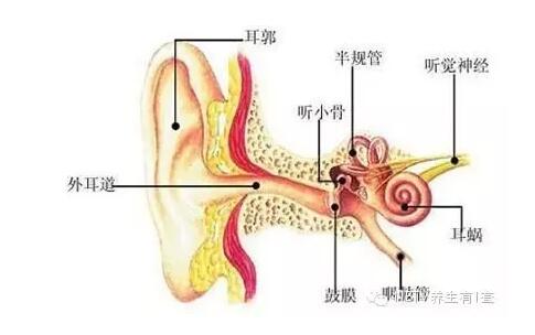 这个小眼在医学上称之为耳前瘘管.其实
