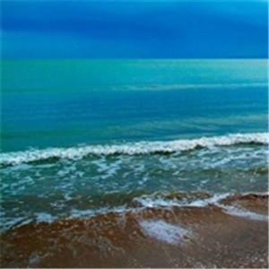 由美头网整理发布,风景头像频道提供更多与海边,大海,海洋相关的头像