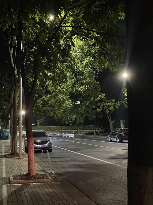 晚上的杭州街道