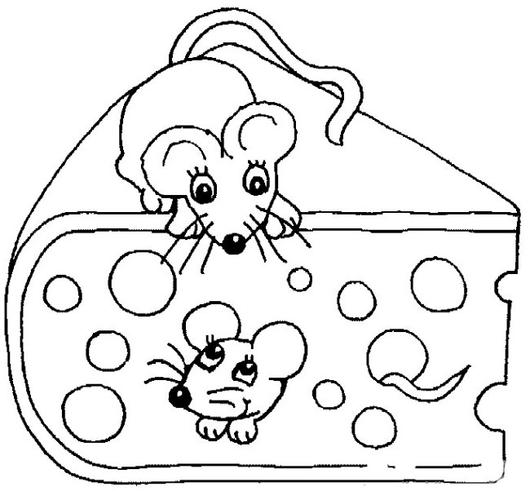 偷吃奶酪的老鼠简笔画图片