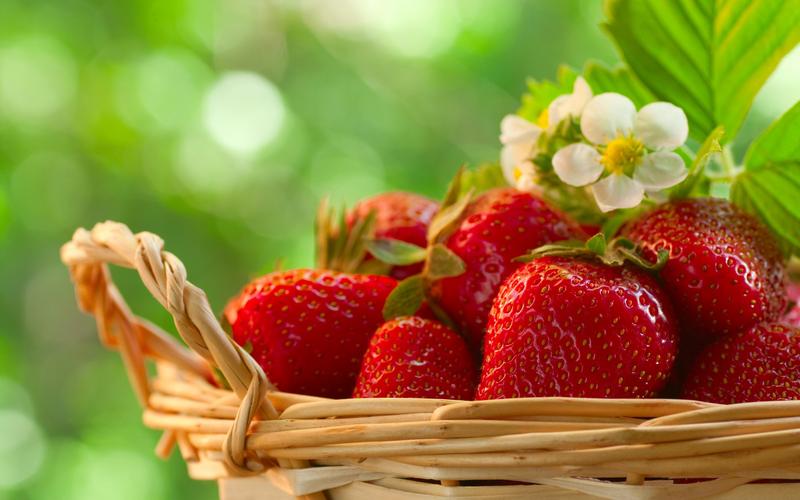 壁纸 美味的水果,草莓,篮子,绿色背景