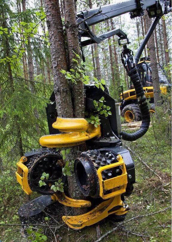 森林里的高科技,全自动伐木机 效率高!