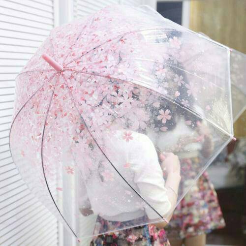 求真人的有樱花带伞的情侣头像