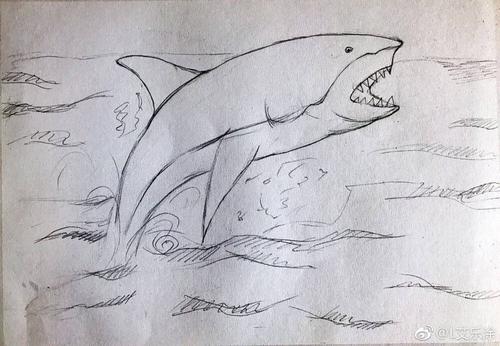 鲨鱼- 堆糖,美图壁纸兴趣社区