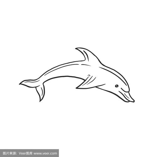 矢量线性画的海豚在涂鸦风格.徒手画的插图.