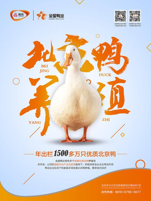 鸭厂宣传海报