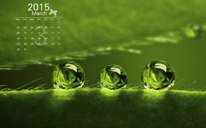 2015年3月日历精选唯美绿色保护眼睛的植物高清桌面壁纸图片1