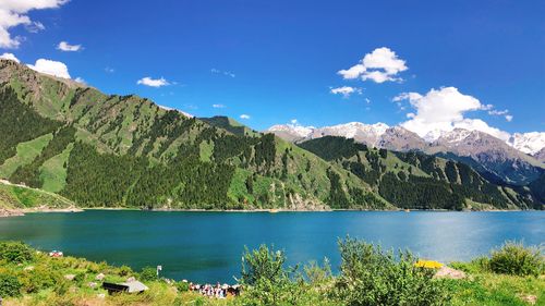 大美新疆,六月最美的风景