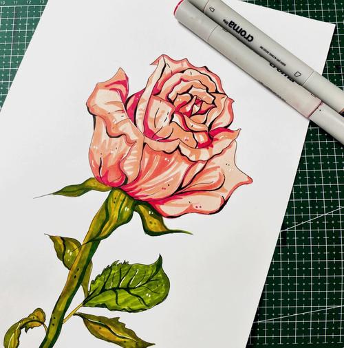 马克笔花卉手绘简单出效果玫瑰花含过程