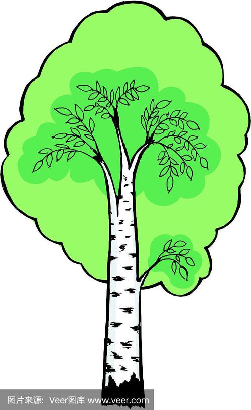 卡通桦木