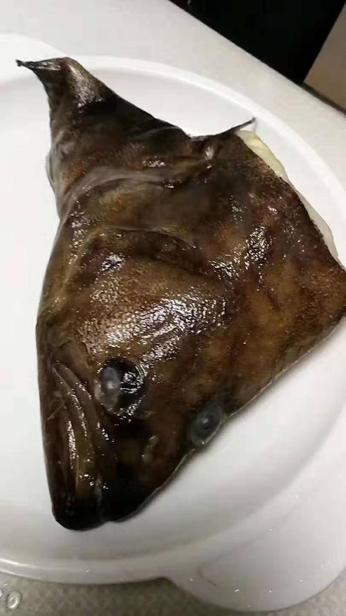 俄罗斯深海无污染大鲽鱼头 新鲜碟鱼头 冷冻肉质细嫩2-4斤批发