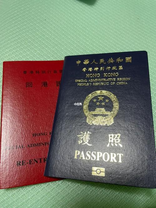 香港新生儿证件/bb证件 懒人版
