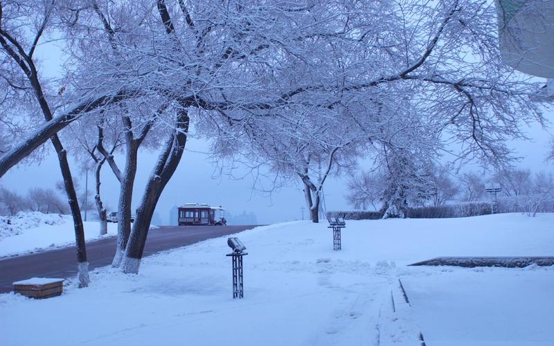 哈尔滨冬天雪景