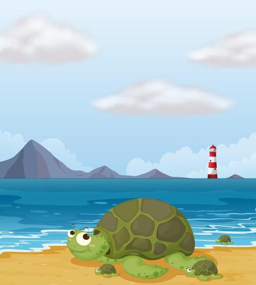 在岸边的一只乌龟,海龟在岸上的插图