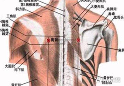 【图】右肩胛骨下方疼痛怎么办? 4种治疗方法助你缓解肩胛疼痛