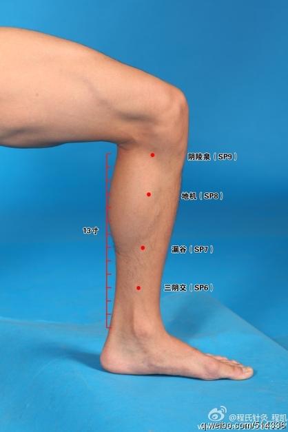 快速取穴:正坐或仰卧,在小腿内侧,膝下胫骨内侧髁下方凹陷中.