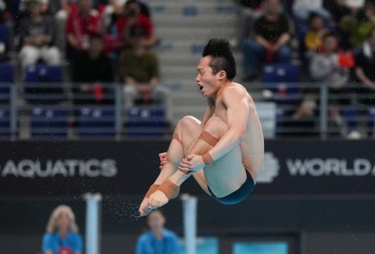 体育跳水世界杯西安站男子3米板王宗源晋级决赛