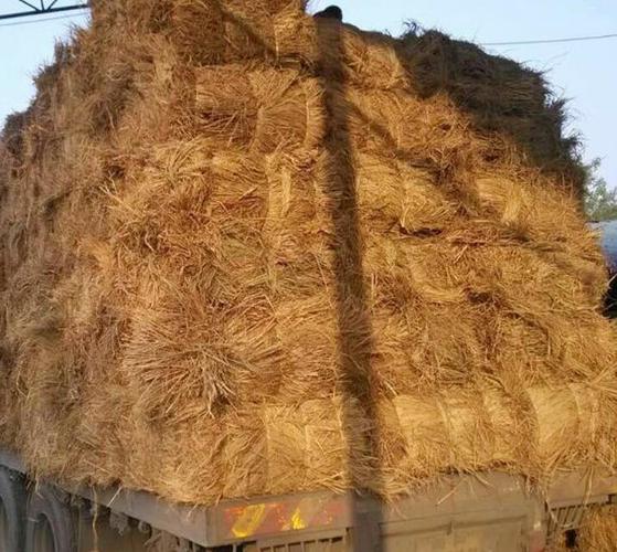 合作社 大量供应 优质打包干稻草 稻草秸秆 10吨起订 质.