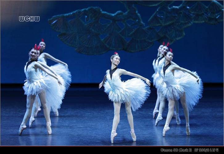 2012年 中央芭蕾舞团:中国版《胡桃夹子》 4