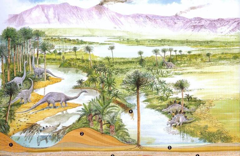 恐龙的生活时代主要是中晚三叠世——白垩纪末,跨越整个侏罗纪,因此