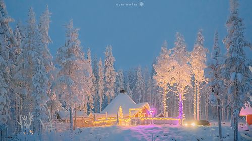 国外静谧冬日雪景高清桌面壁纸