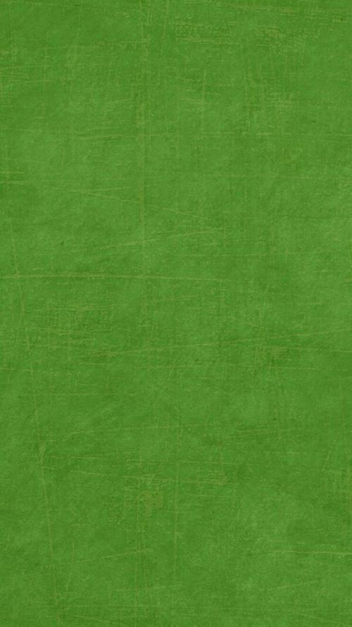 绿色简单平铺壁纸哟@小白不小也不白