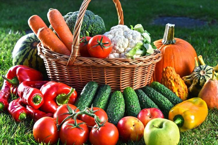 篮子里的和草地上的新鲜有机蔬菜和水果