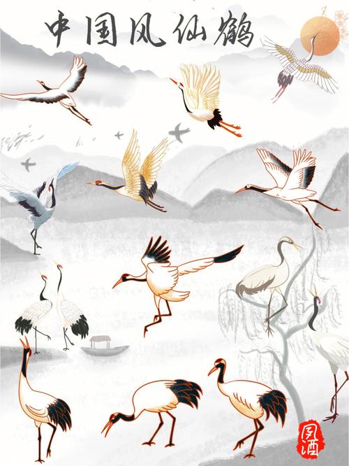 更是在古今的中国文化里,丹顶鹤都代表着一种长寿,富贵的象征.