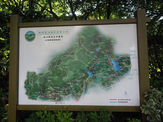 杭州小众景点—拱墅篇之半山国家森林公园