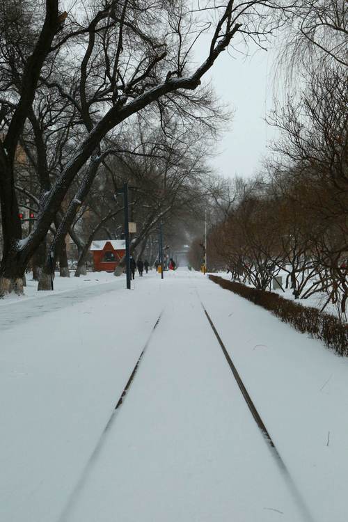 下雪的哈尔滨,飘雪的儿童公园.