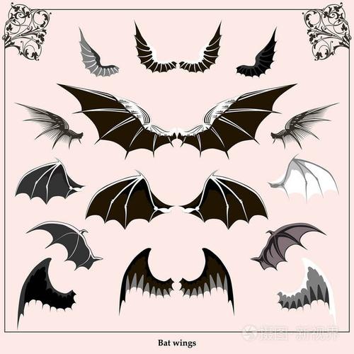 蝙蝠翅膀一套插画-正版商用图片0trpa5-摄图新视界