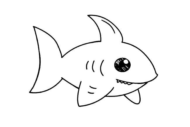 可爱小鲨鱼动物简笔画步骤图片大全