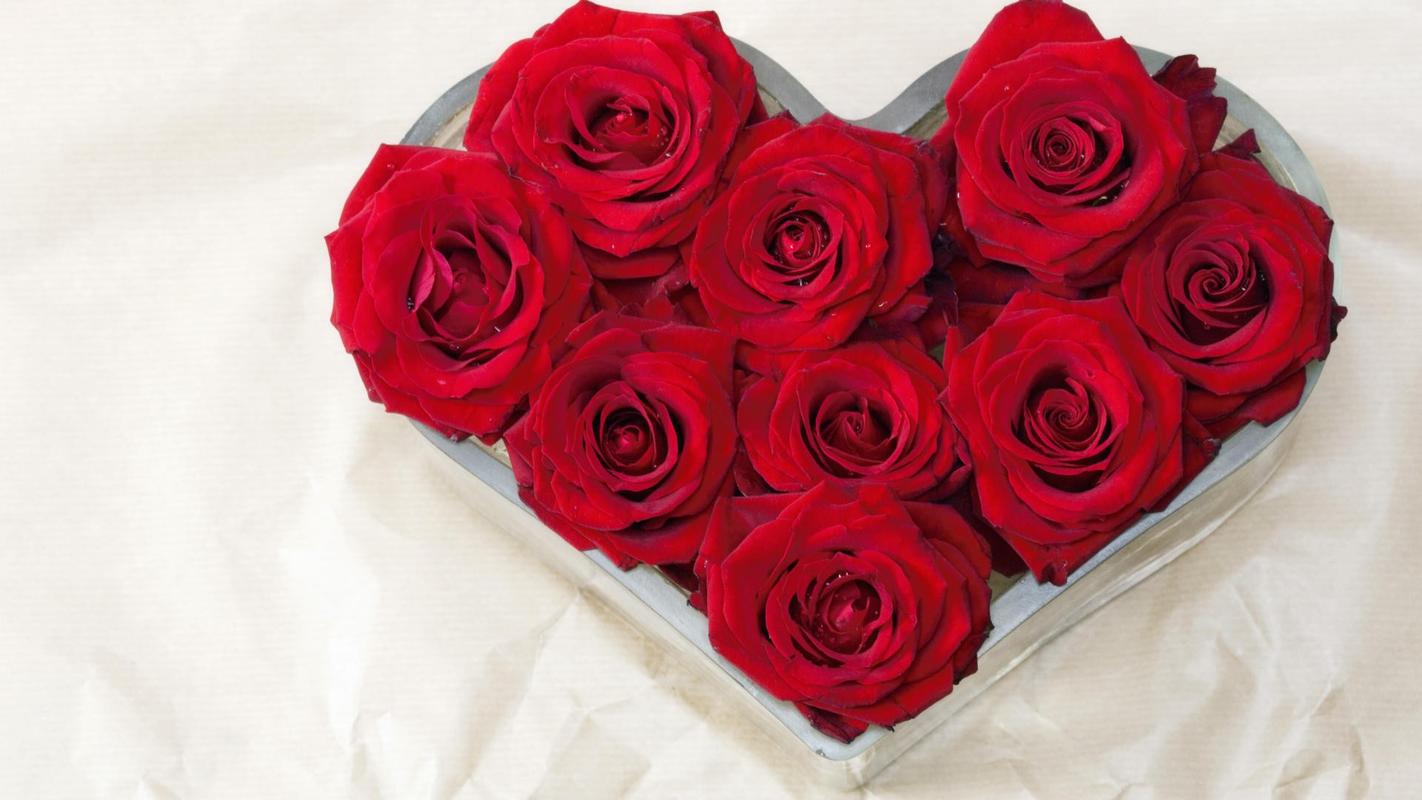 好看的情人节表达爱意的浪漫玫瑰花高清图片桌面壁纸