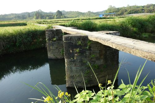 桥,是最美乡村婺源的一道别致的风景,这里的山野乡村河流密布,横卧水