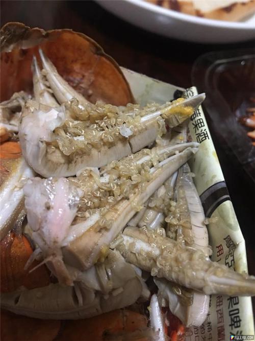 嗑螃蟹惊见「满满寄生虫卵」专业网友神解惑:这比龙虾还贵欸!