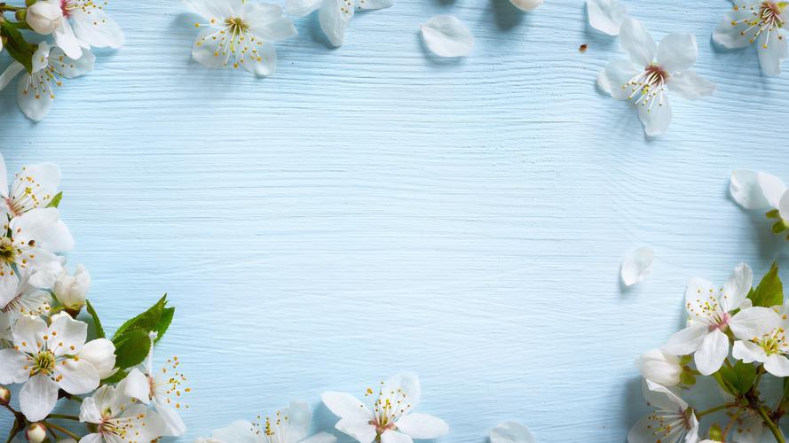 简约淡雅春天的花蓝色木壁纸