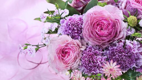 壁纸 粉红色的花朵,花束,菊花,玫瑰