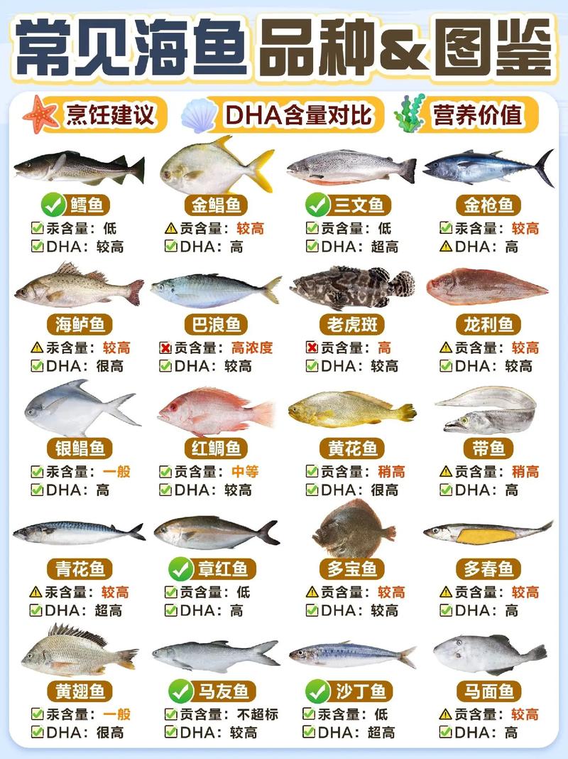 常见海鱼大合集96营养价值图鉴|食用指南.[赞r]俗话说"无 - 抖音