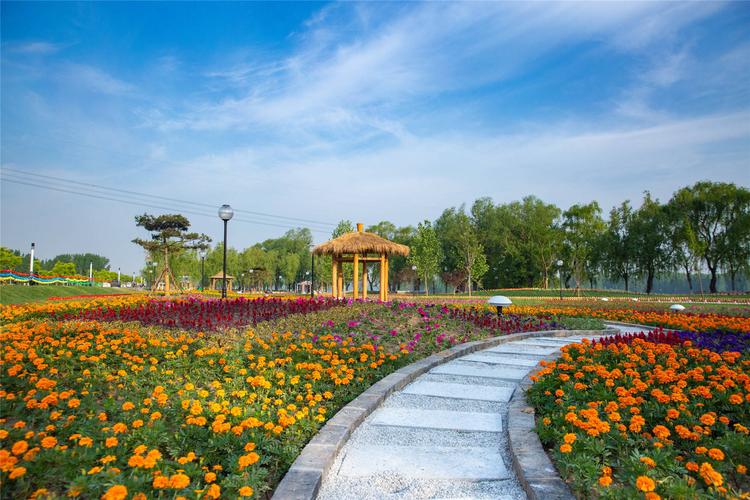 天鹅湖温泉国际慢城项目位于高青县东北部,毗邻黄河,由原引黄沉沙池