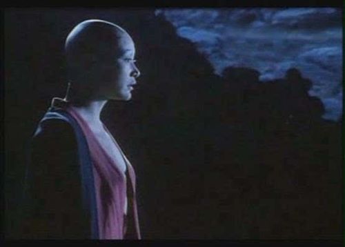 陈冲 1993年,她在电影《诱僧》中,不仅剃光秀发,更全裸上半身出演
