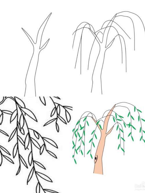 在柳枝上面,左右错落的画出柳树的叶子,把叶子画的狭长一些,采用绿色