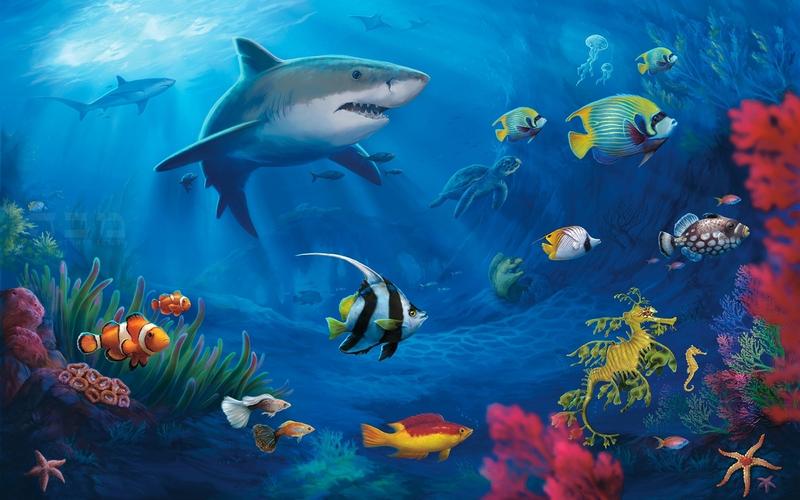 海底世界动态壁纸1366x768分辨率下载,海底世界动态壁纸,高清图片