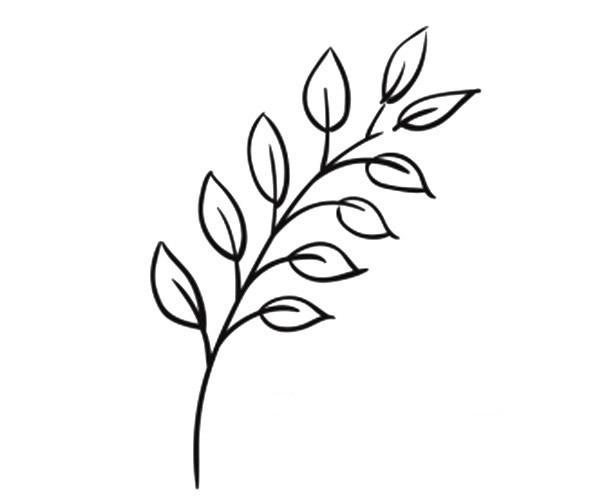 9款漂亮的叶子简笔画图画叶子的简单画法大全树叶简笔画黄桦树的树叶