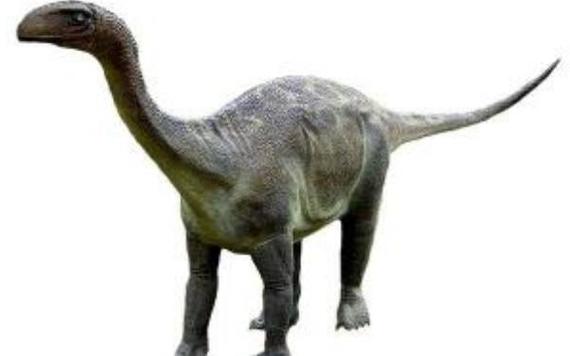 火山齿龙非洲大型食草恐龙长65米距今2亿年前